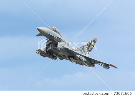 German Air Force EF-2000 Eurofighter Cyber Tiger Painting 73071606