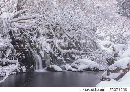 冬天的前者落在水下 73071968