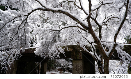 Snowy day Yoshi Taisha Shrine Runi Bridge Snowy day Yoshi Taisha Shrine Runi Bridge 73072053