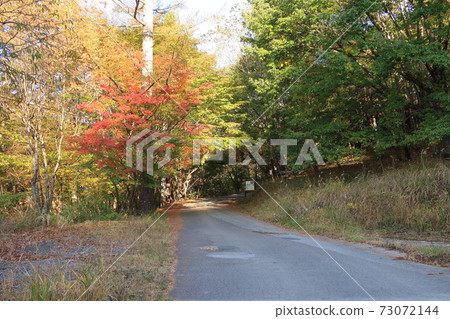 Nishizawa Valley in the fall 73072144