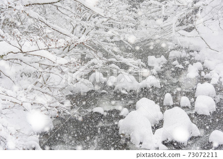 Snow scene 73072211