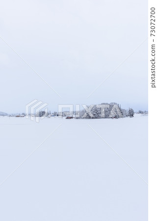 Landscape of heavy snowfall area Landscape of heavy snowfall area 73072700