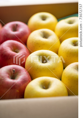 Assorted autumn taste apples Assorted autumn taste apples 73072737