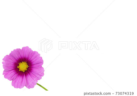 [Cosmos]（深度疊加） 73074319