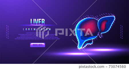 human liver low poly wireframe vector illustration 73074560