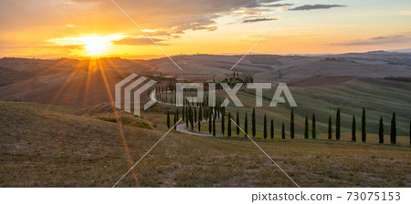 Tuscany, cypress trees road., Crete Senesi rural sunset landscape. Countryside farm, cypresses trees, green field, sun light and cloud. Italy, Europe. Tuscany, cypress trees road., Crete Senesi rural sunset landscape. Countryside farm, cypresses trees, green field, sun light and cloud. Italy, Europe. 73075153