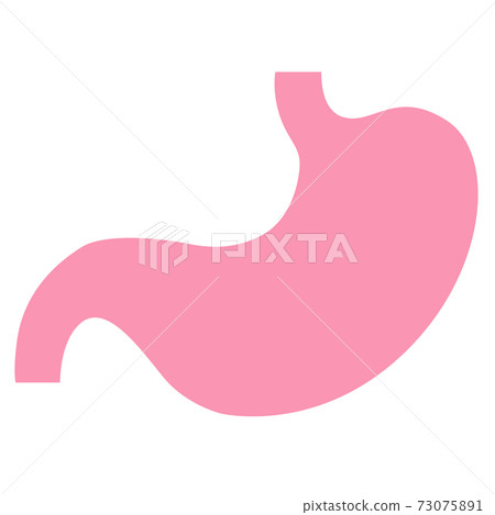 Organ: stomach 73075891