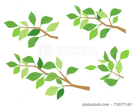 Leaf 7 fresh green green branch set multiple Leaf 7 fresh green green branch set multiple 73077143