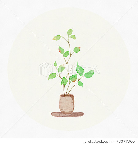 Small fresh watercolor green plant potted plants Small fresh watercolor green plant potted plants 73077360