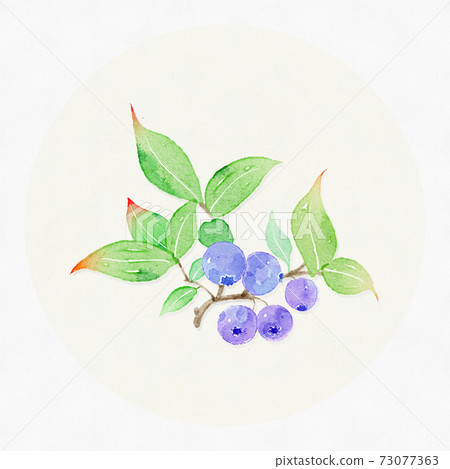 Small fresh watercolor blueberry 73077363