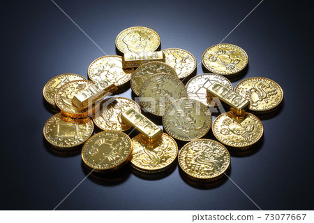 金幣圖像 金幣圖像 73077667