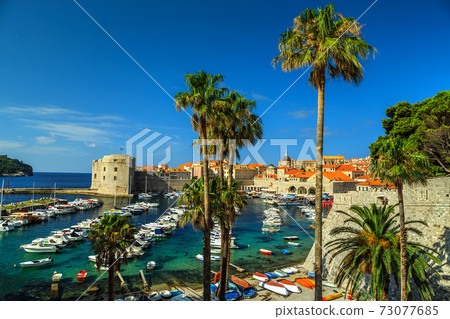 Old city of Dubrovnik panorama with palm trees,Croatia,Europe Old city of Dubrovnik panorama with palm trees,Croatia,Europe 73077685