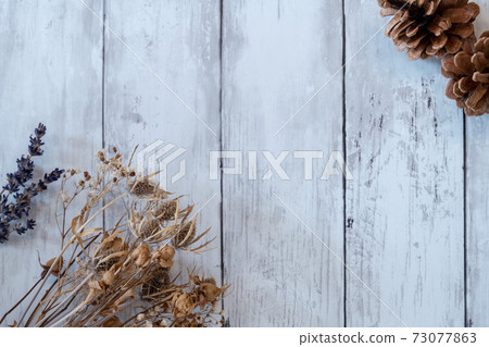 白板牆上的時尚乾花 73077863