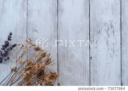 白板牆上的時尚乾花 73077864