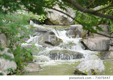 Fresh green and mountain stream Fresh green and mountain stream 73078447