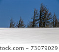 冬季風 73079029