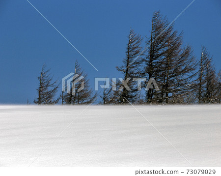 冬季風 冬季風 73079029