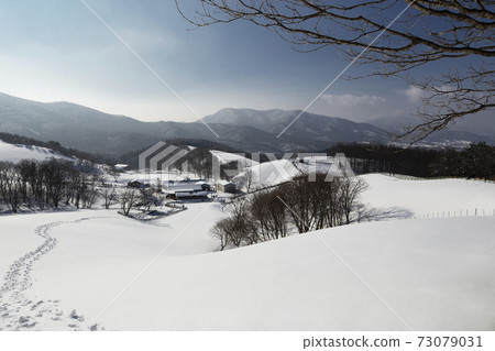 冬季牧場 73079031