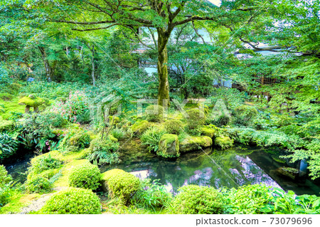 大原Sanzenin花園 大原Sanzenin花園 73079696