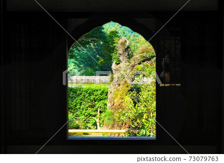 Ohara Sanzenin garden 73079763
