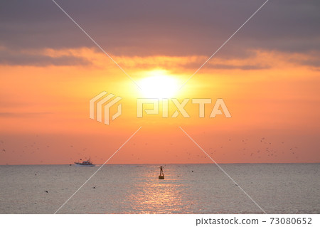 Sunrise seen from Cape Irago, Aichi Prefecture 73080652