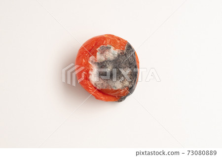 Rotten tomato with mold and fungi closeup on a white background Rotten tomato with mold and fungi closeup on a white background 73080889