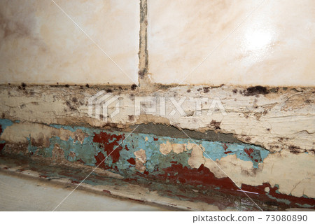 Big wet spots and cracks and black mold on the wall near flour in domestic house room after heavy rain and lot of water 73080890