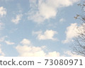 Sky and clouds and branches 73080971