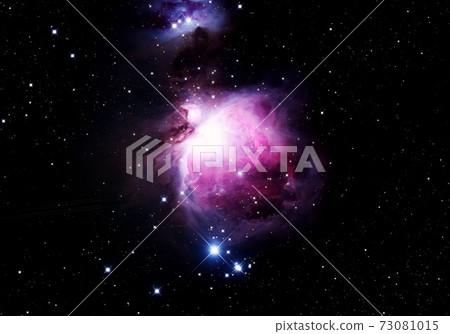 Great Orion Nebula 73081015