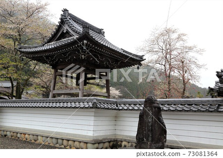 淡墨櫻花村：Neoji，31歲（岐阜縣本宿市金原市） 73081364