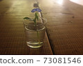 Backlight of dayflower 73081546