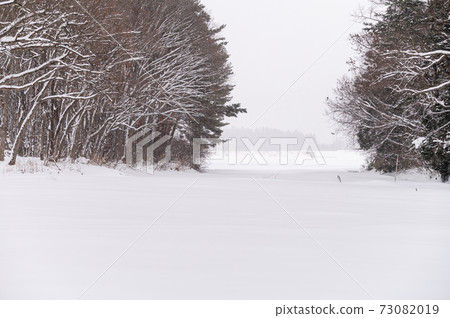 雪原和降雪雪景 73082019