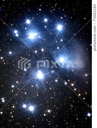 Ple宿星團 73082284