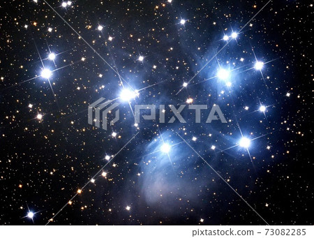 Ple宿星團 Ple宿星團 73082285