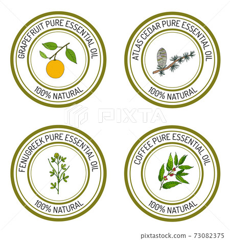 Set of essential oil labels Set of essential oil labels 73082375