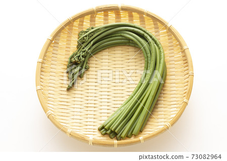 水煮芥末 水煮芥末 73082964