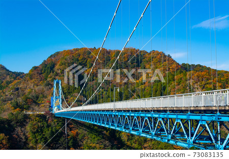 秋葉Ryujin大懸索橋 秋葉Ryujin大懸索橋 73083135