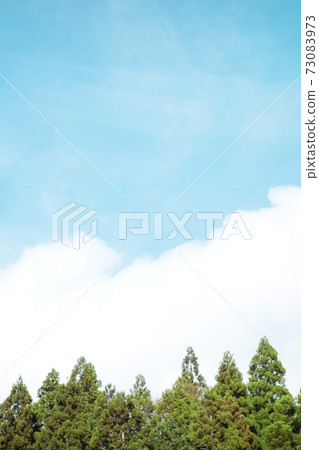 藍天和樹木 73083973