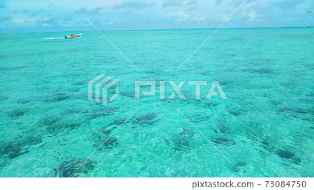 Sea of Cocos Island Sea of Cocos Island 73084750
