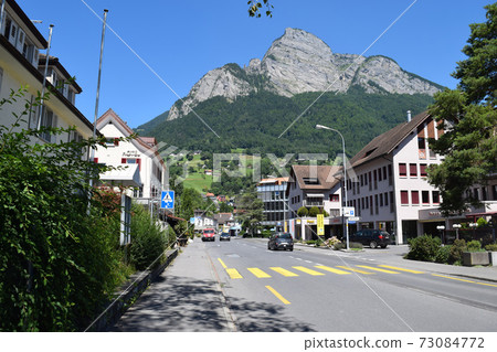 瑞士扎爾甘斯市 73084772