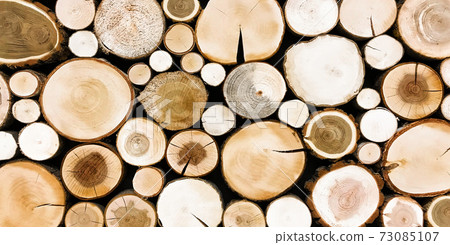 round teak wood stump background. Trees cut section for background texture round teak wood stump background. Trees cut section for background texture 73085107