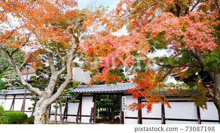 Shigain Monzeki Temple Autumn Leaves in Late Autumn 73087198