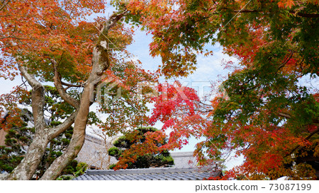 Shigain門廢墟在深秋的落葉 Shigain門廢墟在深秋的落葉 73087199