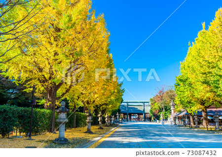 Tokyo Autumn Yasukuni Shrine 73087432