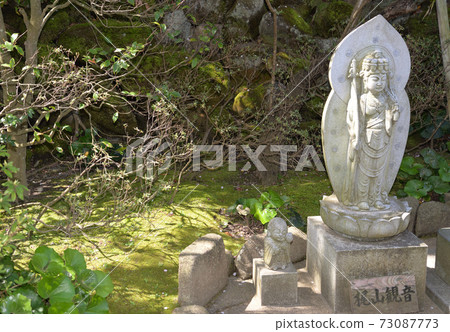 Hase Temple（神奈川縣鎌倉市） 73087773
