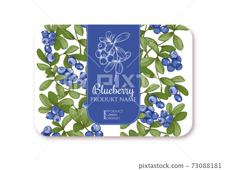 Blueberry Ripe berries. Template for product label Blueberry Ripe berries. Template for product label 73088181