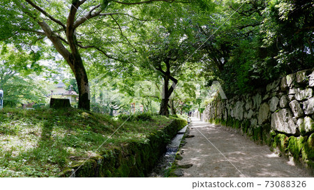 Otsu Sakamoto Hiyoshi Baba Green 73088326