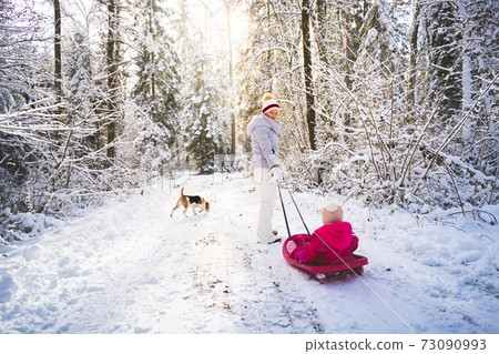 Mother pulling baby on a sled through winter forest. 73090993