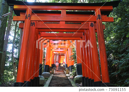 Torii and stairs at Mt. Inari, Fushimi Inari Taisha Shrine, Kyoto 73091155