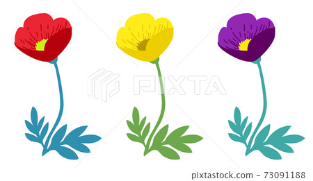 Spring flower poppy illustration variation set Spring flower poppy illustration variation set 73091188